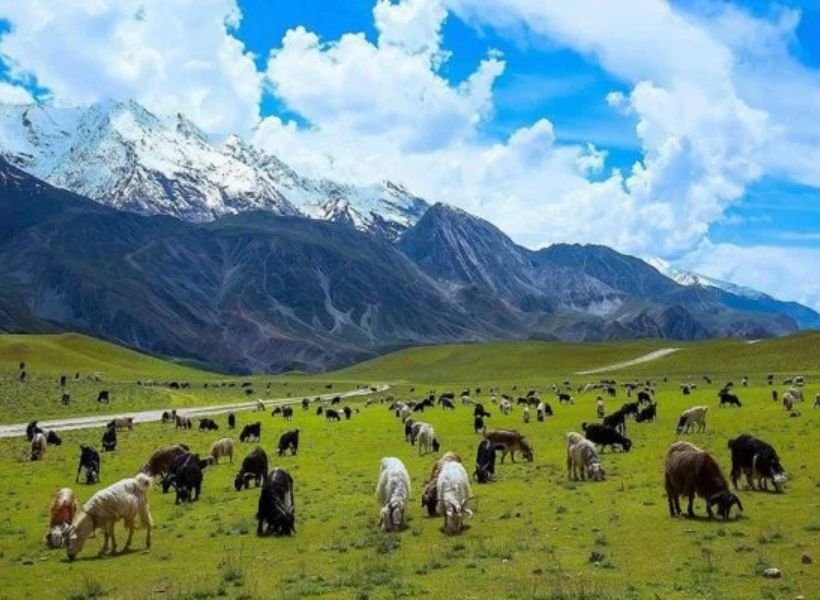 Chitral top places